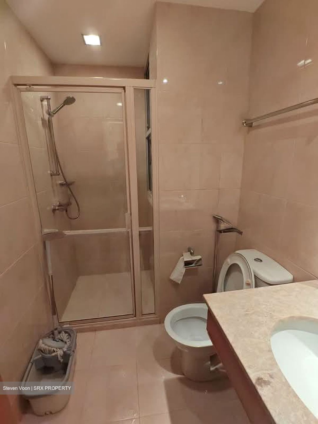 The Lakeshore (D22), Condominium #554798081